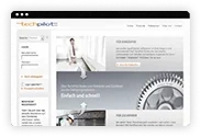 Website 2007